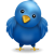 twitter bird